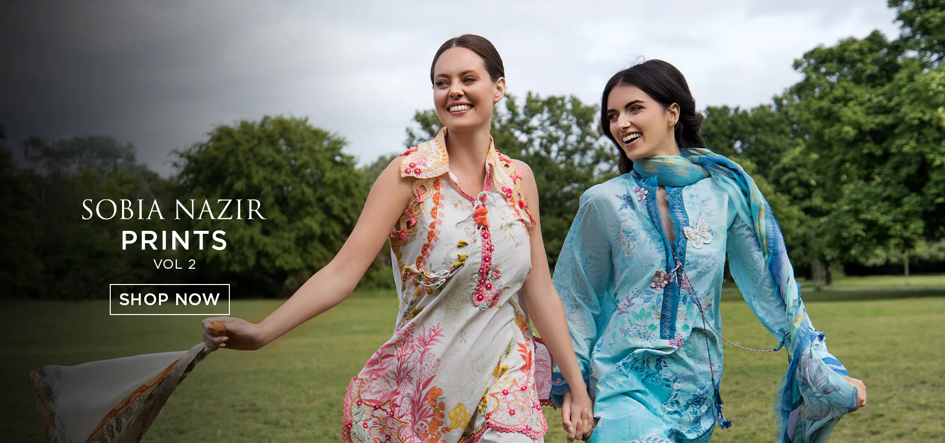 Timeless Elegance, Modern Pakistani Flair